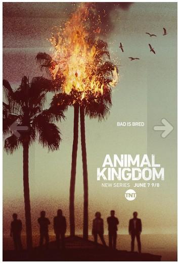 Animal Kingdom - T1 a T6